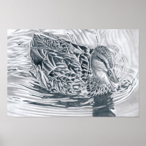 Ente im Fluss _ Bleistiftzeichnung Poster