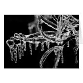 enter icy winter (Front Horizontal)