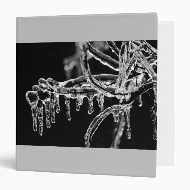 enter icy winter binder (Front/Inside)