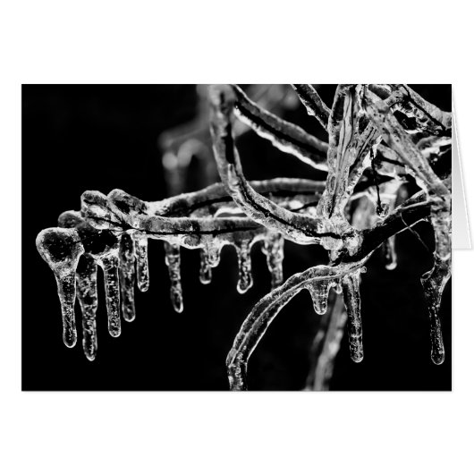 enter icy winter cards (Front Horizontal)