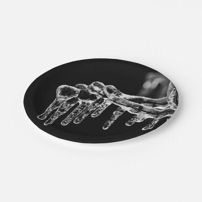 enter icy winter paper plates (Angled)