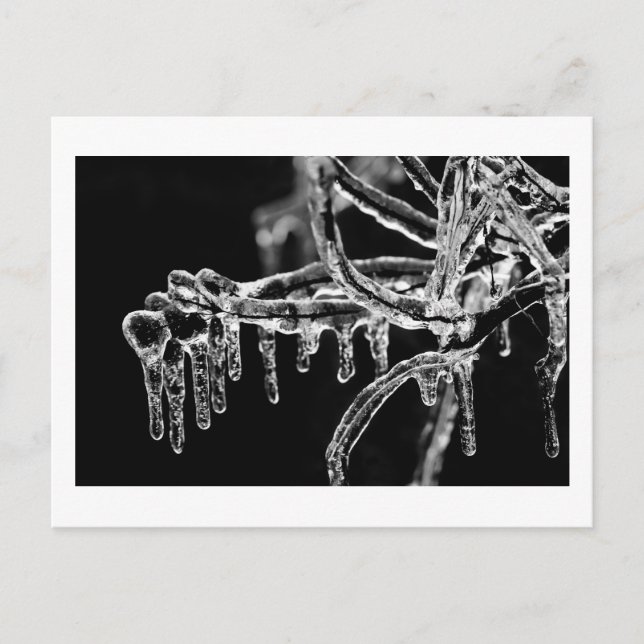 enter icy winter postcard (Front)
