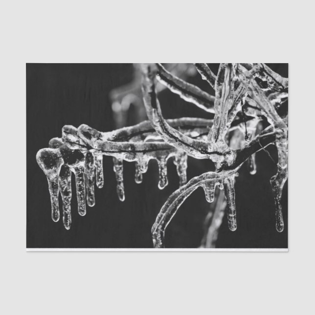 enter icy winter tissue paper (Front)