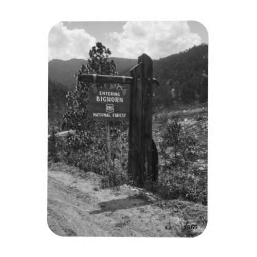 Entering Bighorn National Forest 1959 Sign Magnet