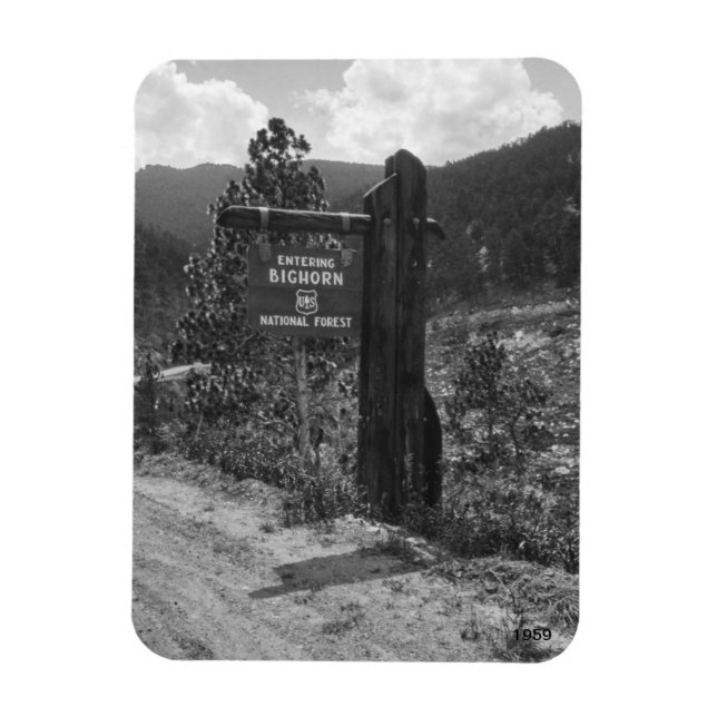 Entering Bighorn National Forest 1959 Sign Magnet (Vertical)