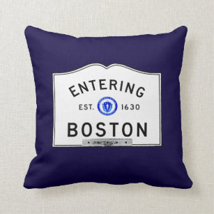 Entering Boston Throw Pillow