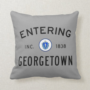 Entering Georgetown Throw Pillow