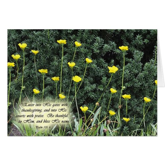EnterintoHisgatesZazzle Cards (Front Horizontal)