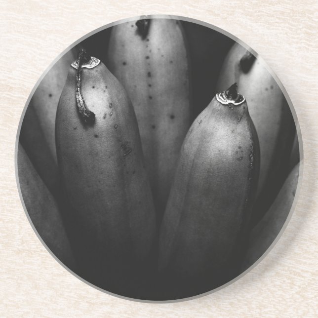 entertaining bunch sandstone coaster (Front)