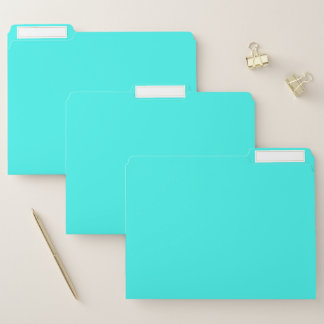 Enthusiastic Aqua Blue Turquoise Color File Folder