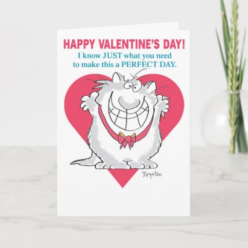 ENTHUSIASTIC CAT Valentines by Boynton Holiday Card