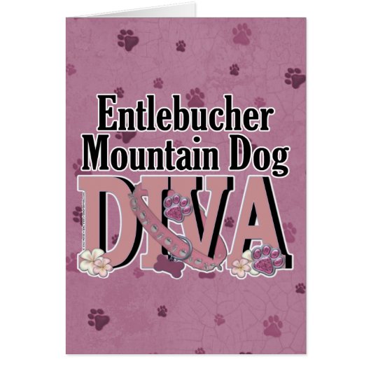 Entlebucher Mountain Dog DIVA Cards (Front)