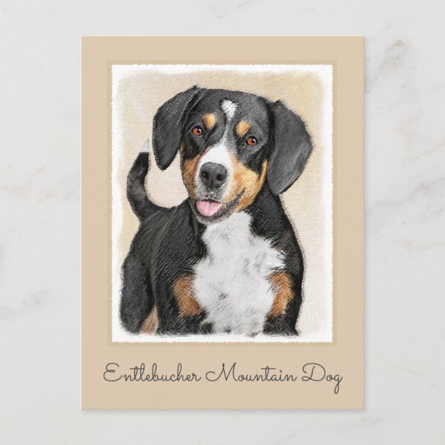 Entlebucher Mountain Dog Painting - Original Art Postcard (Front)