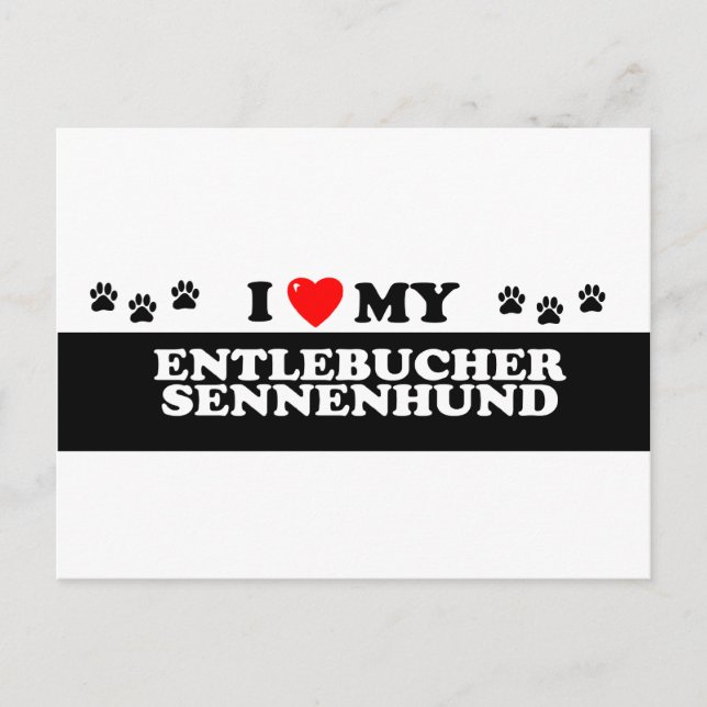 ENTLEBUCHER SENNEHUND_ POSTCARD (Front)
