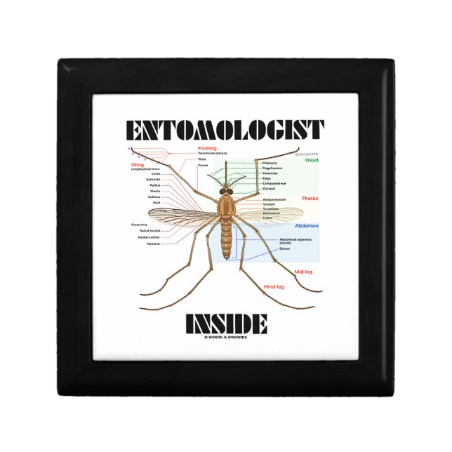 Entomologist Inside (Mosquito Anatomy) Gift Box (Front)