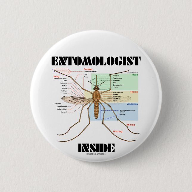 Entomologist Inside (Mosquito Anatomy) Pinback Button (Front)