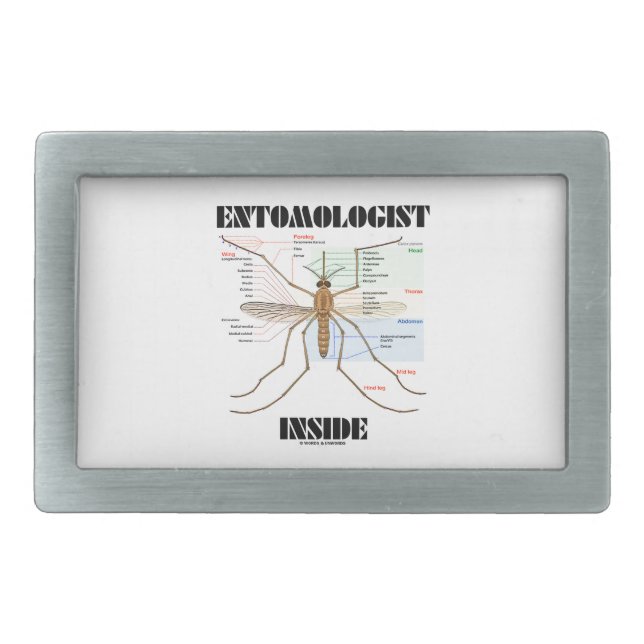 Entomologist Inside (Mosquito Anatomy) Rectangular Belt Buckle (Front)
