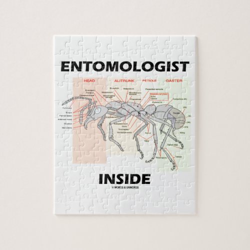 Entomologist Inside Worker Ant Anatomy Jigsaw Puzzle