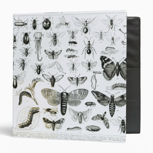 Entomology Binder (Front/Inside)