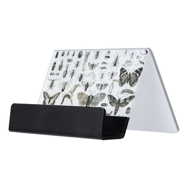 Entomology Desk Business Card Holder (Angled Front)