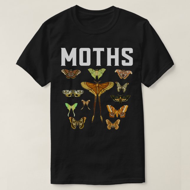 Entomology Entomologist Bug Bugs Insect Insects    T-Shirt (Design Front)