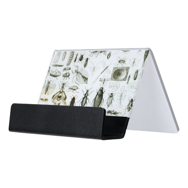Entomology Insects Desk Business Card Holder (Angled Front)