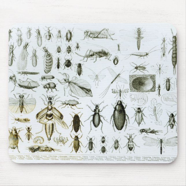 Entomology Insects Mouse Pad (Front)