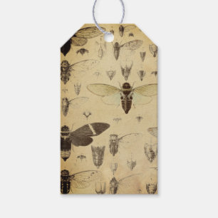 Entomology Journaling Tag