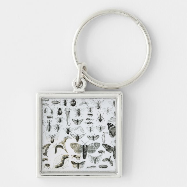 Entomology Keychain (Front)
