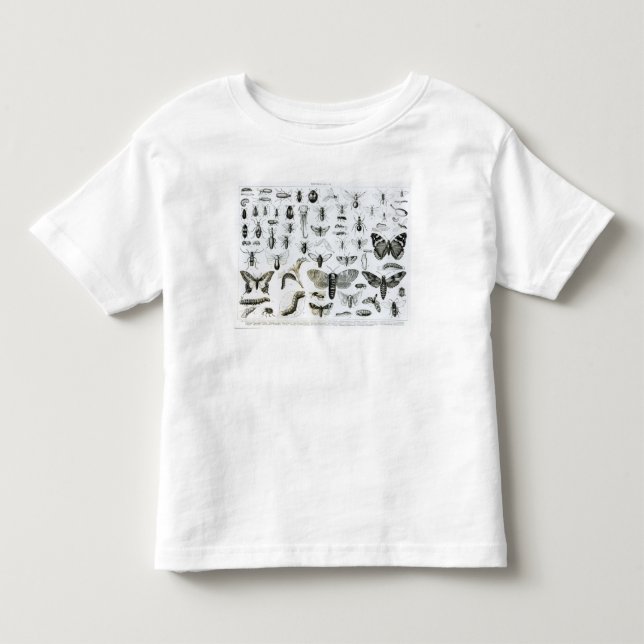 Entomology Toddler T-shirt (Front)