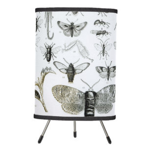 Entomology Tripod Lamp