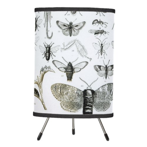 Entomology Tripod Lamp