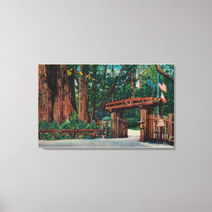Entrance to Big Trees Park, Santa Cruz County Canvas Print