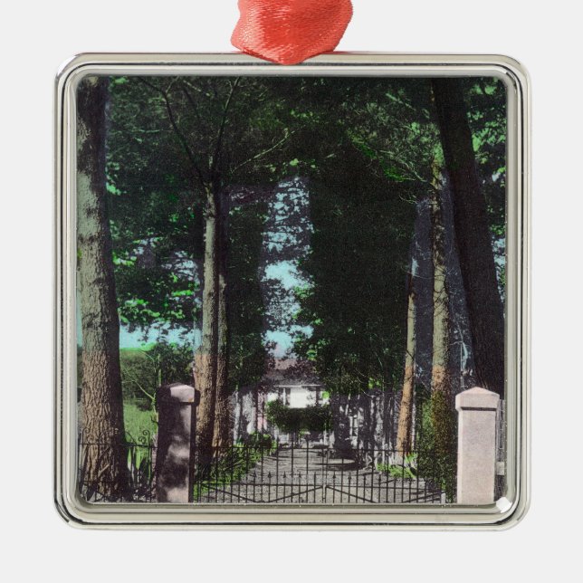 Entrance to Casa Theodore Wagner View Metal Ornament (Front)