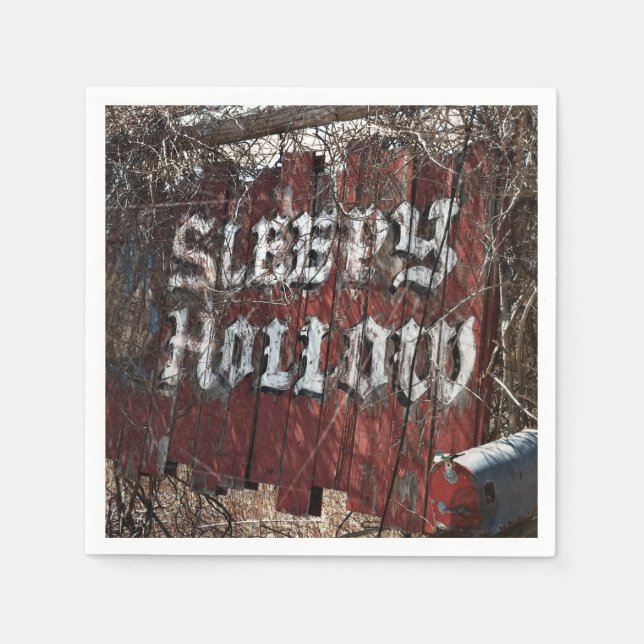 Entrance to Sleepy Hollow Paper Napkins (Front)