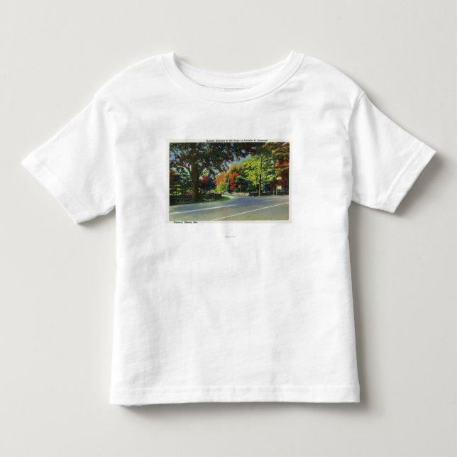 Entrance View to FDR's House Toddler T-shirt (Front)