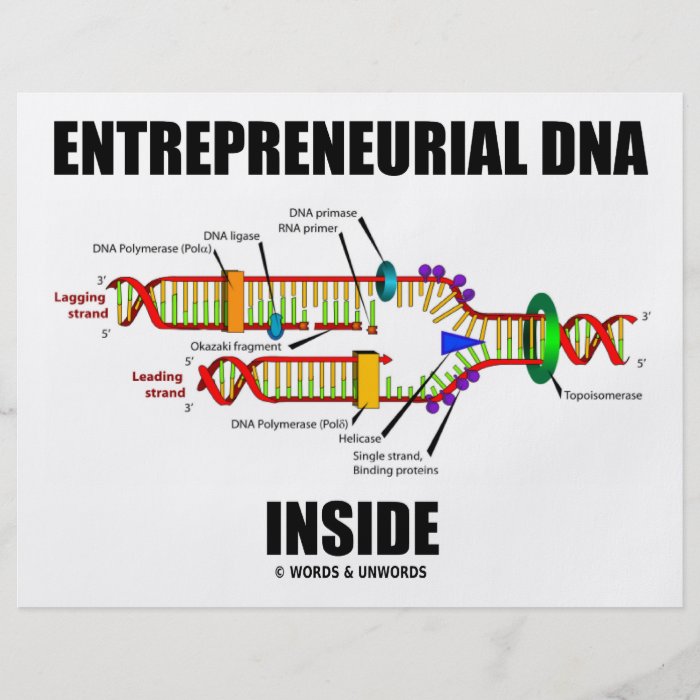 Entrepreneurial DNA Inside Full Color Flyer