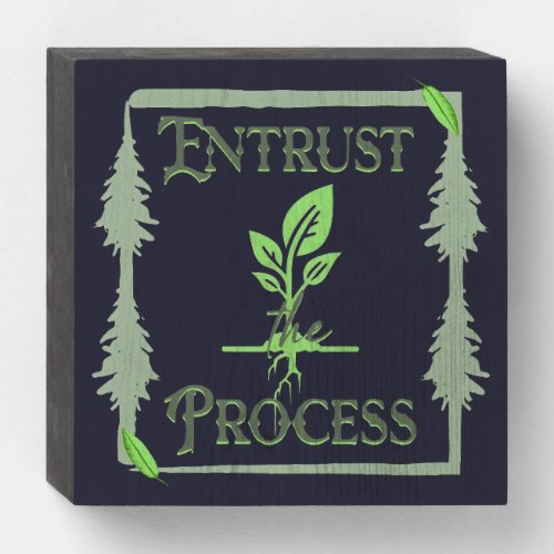 Entrust The Process Wooden Box Sign