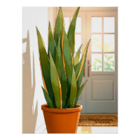 Entryway Potted Snake Plant-Positive Intentions