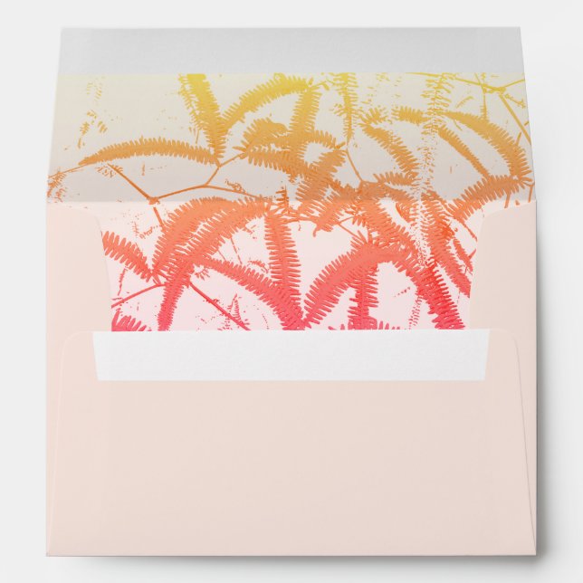 Envelope (Back (Bottom))