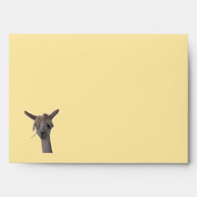 Envelope - GRT Card - Alpaca (Front)