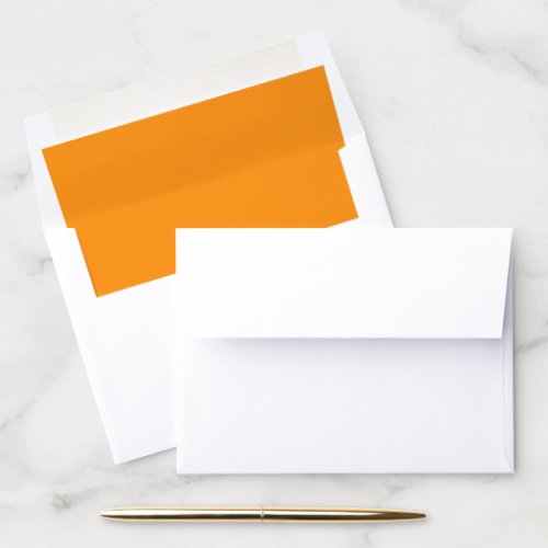 Envelope Liner