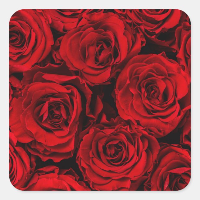 ENVELOPE SEAL : RED ROSES : CUSTOMISABLE (Front)
