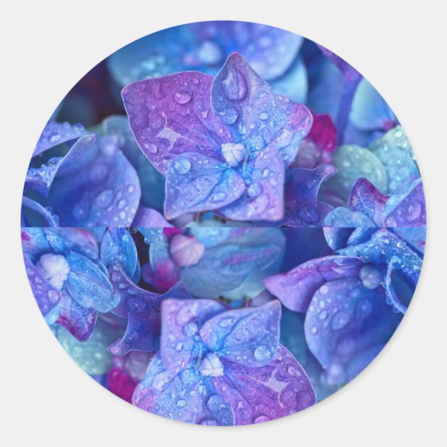 envelope seals Hydrangea (Front)