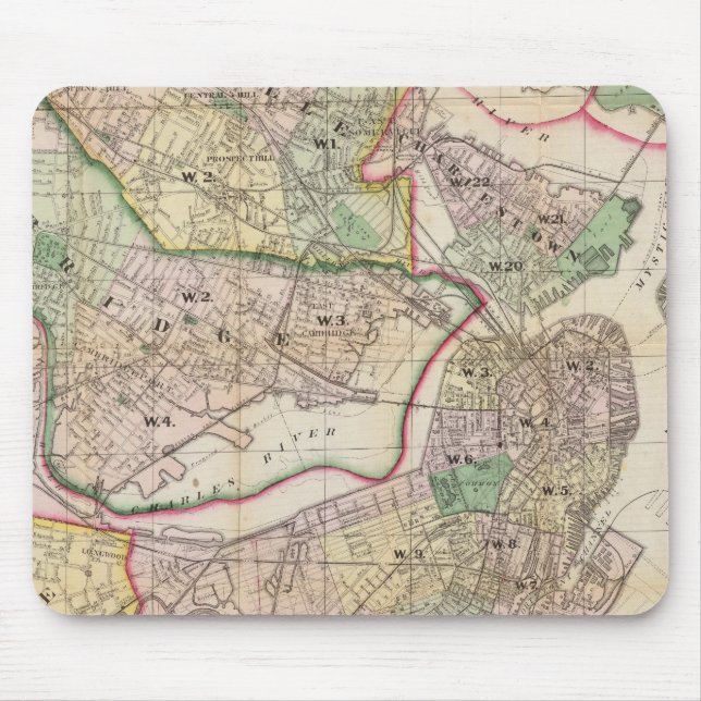 Environment of Boston Mouse Pad (Front)