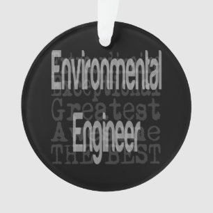 Environmental Engineer Extraordinaire Ornament