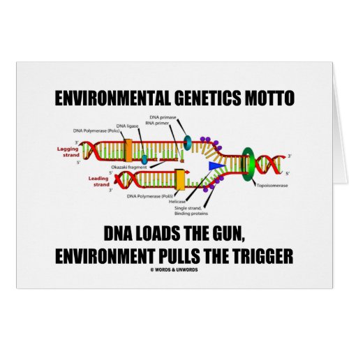 Environmental Genetics Motto DNA Loads Environment