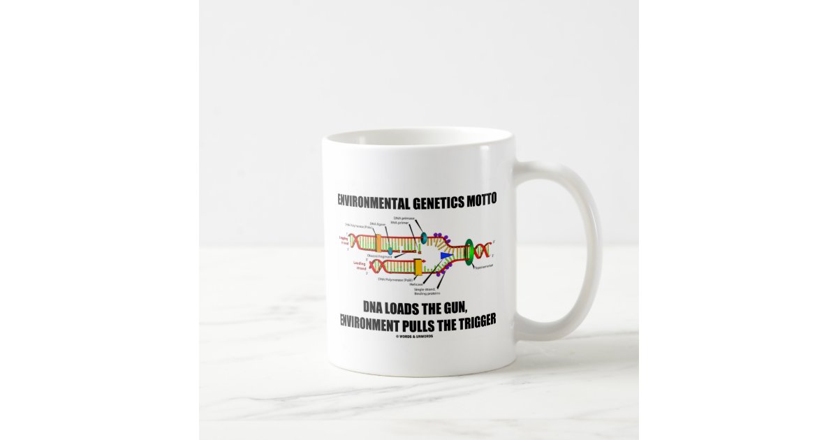 zazzle