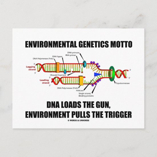 Environmental Genetics Motto DNA Loads Environment Postcard