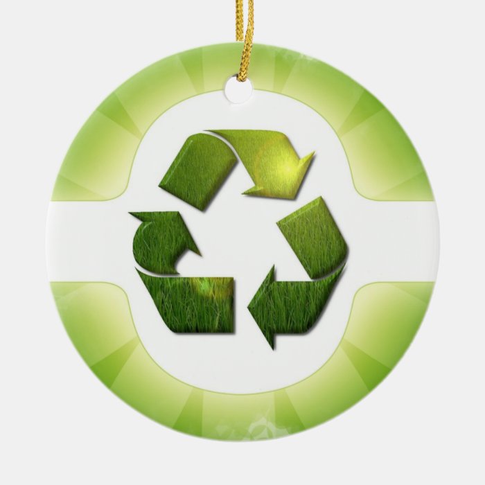 Environmental Issues Ornament